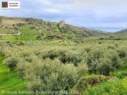 Agia Galini Kreta, Ag. Galini Olivenhain 130.000 m². Grundstück kaufen